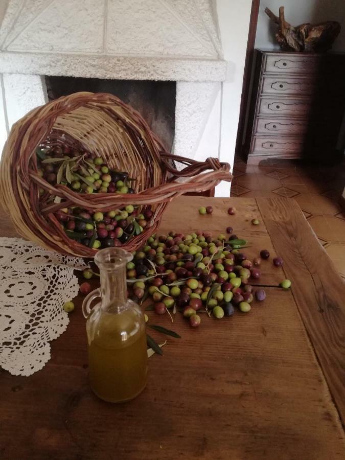 Casa La Calicchia Guest House Norma Bagian luar foto